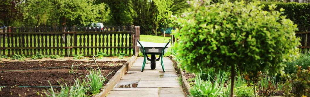wheelbarrows-2157335_1920_datschenrecht.jpg